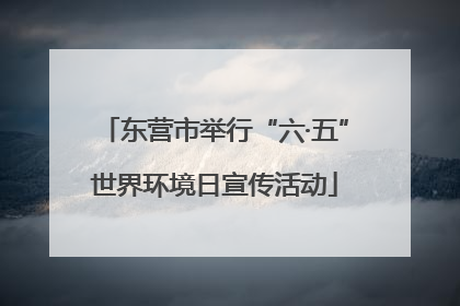 东营市举行“六·五”世界环境日宣传活动