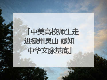 中美高校师生走进徽州灵山 感知中华文脉基底