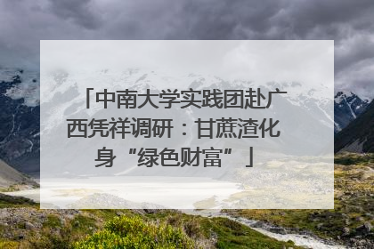 中南大学实践团赴广西凭祥调研：甘蔗渣化身“绿色财富”