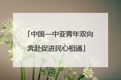 中国—中亚青年双向奔赴促进民心相通