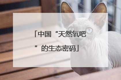 中国“天然氧吧”的生态密码