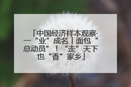 中国经济样本观察·一“业”成名丨面包“总动员”！“走”天下也“香”家乡