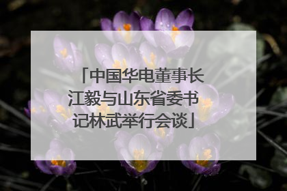 中国华电董事长江毅与山东省委书记林武举行会谈