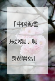 中国海警东沙舰，现身黄岩岛