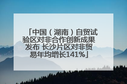 中国（湖南）自贸试验区对非合作创新成果发布 长沙片区对非贸易年均增长141%