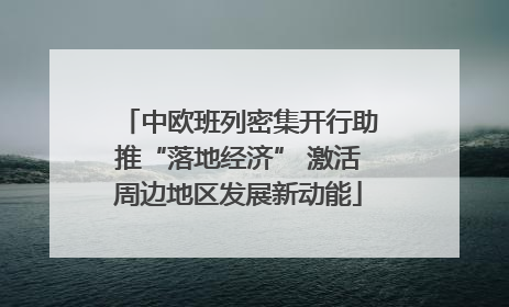 中欧班列密集开行助推“落地经济” 激活周边地区发展新动能