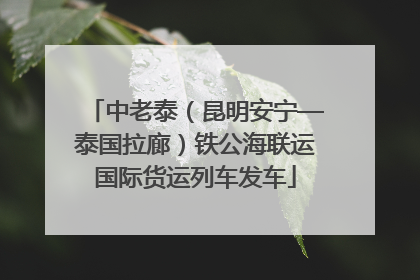 中老泰（昆明安宁—泰国拉廊）铁公海联运国际货运列车发车