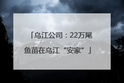乌江公司：22万尾鱼苗在乌江“安家”