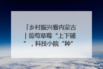 乡村振兴看内蒙古｜葡萄草莓“上下铺”，科技小院“种”出三倍效益