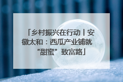乡村振兴在行动丨安徽太和：西瓜产业铺就“甜蜜”致富路