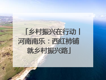 乡村振兴在行动丨河南南乐：西红柿铺就乡村振兴路
