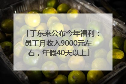 于东来公布今年福利：员工月收入9000元左右，年假40天以上