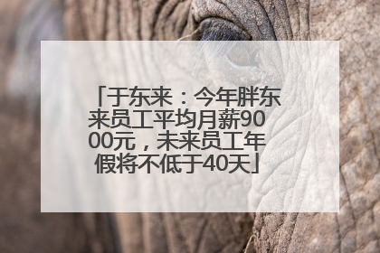 于东来：今年胖东来员工平均月薪9000元，未来员工年假将不低于40天