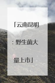 云南昆明：野生菌大量上市