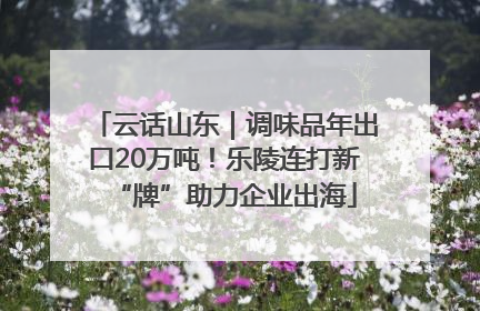 云话山东｜调味品年出口20万吨！乐陵连打新“牌”助力企业出海