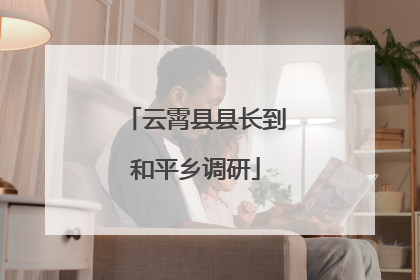 云霄县县长到和平乡调研