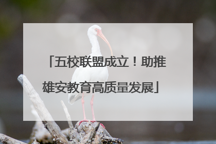 五校联盟成立！助推雄安教育高质量发展