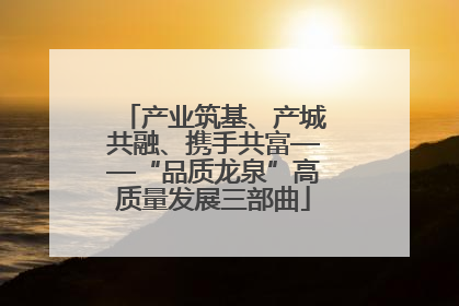 产业筑基、产城共融、携手共富——“品质龙泉”高质量发展三部曲