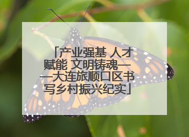 产业强基 人才赋能 文明铸魂——大连旅顺口区书写乡村振兴纪实