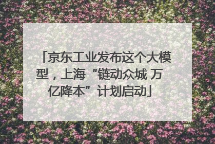 京东工业发布这个大模型，上海“链动众城 万亿降本”计划启动