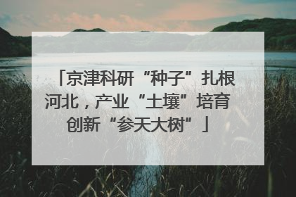 京津科研“种子”扎根河北，产业“土壤”培育创新“参天大树”