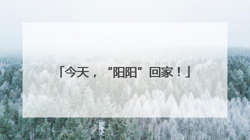 今天，“阳阳”回家！