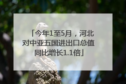 今年1至5月，河北对中亚五国进出口总值同比增长1.1倍