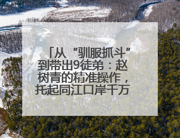 从“驯服抓斗”到带出9徒弟：赵树青的精准操作，托起同江口岸千万吨过货量