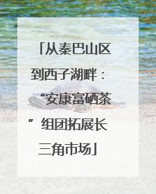 从秦巴山区到西子湖畔：“安康富硒茶”组团拓展长三角市场