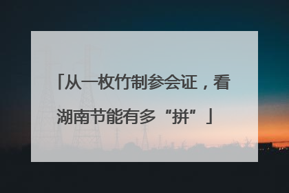 从一枚竹制参会证，看湖南节能有多“拼”