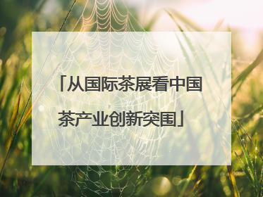 从国际茶展看中国茶产业创新突围