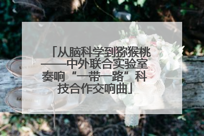 从脑科学到猕猴桃——中外联合实验室奏响“一带一路”科技合作交响曲