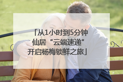 从1小时到5分钟 仙居“云端速递”开启杨梅锁鲜之旅