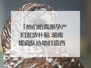 他们给高原孕产妇发放补贴 湖南援藏队协助打造西藏首家高原产儿协同中心