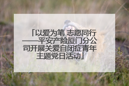 以爱为笔 志愿同行——平安产险厦门分公司开展关爱自闭症青年主题党日活动