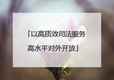 以高质效司法服务高水平对外开放