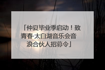 仲夏毕业季启动！致青春·太白湖音乐会音浪合伙人招募令