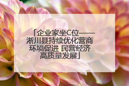 企业家坐C位——淅川县持续优化营商环境促进 民营经济高质量发展
