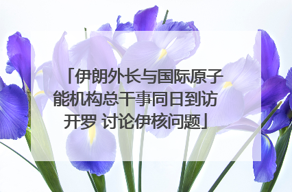 伊朗外长与国际原子能机构总干事同日到访开罗 讨论伊核问题