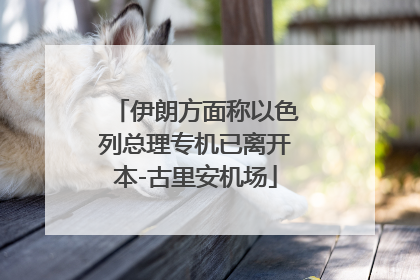 伊朗方面称以色列总理专机已离开本-古里安机场