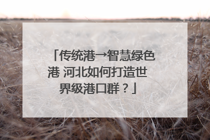 传统港→智慧绿色港 河北如何打造世界级港口群？