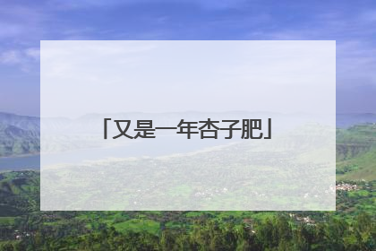 又是一年杏子肥