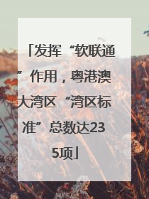 发挥“软联通”作用，粤港澳大湾区“湾区标准”总数达235项
