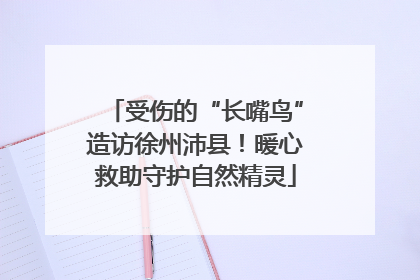 受伤的“长嘴鸟”造访徐州沛县！暖心救助守护自然精灵
