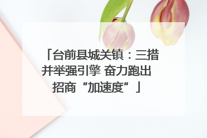 台前县城关镇：三措并举强引擎 奋力跑出招商“加速度”