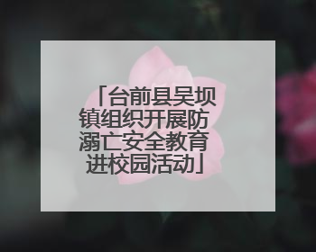 台前县吴坝镇组织开展防溺亡安全教育进校园活动
