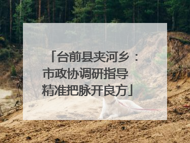 台前县夹河乡：市政协调研指导 精准把脉开良方