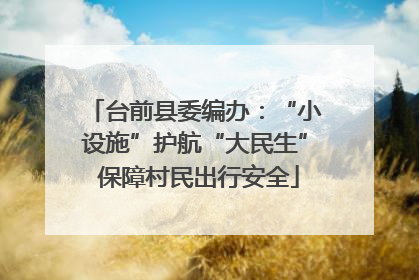 台前县委编办：“小设施”护航“大民生” 保障村民出行安全