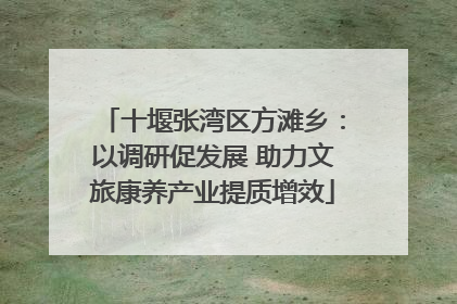 十堰张湾区方滩乡：以调研促发展 助力文旅康养产业提质增效