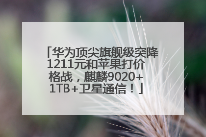 华为顶尖旗舰级突降1211元和苹果打价格战，麒麟9020+1TB+卫星通信！